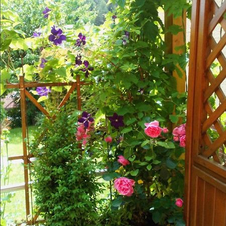 Apartment Mit Gartenblick Eckersdorf Luaran gambar