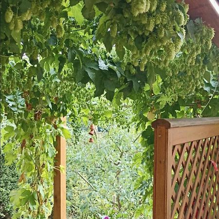 Apartment Mit Gartenblick Eckersdorf Luaran gambar