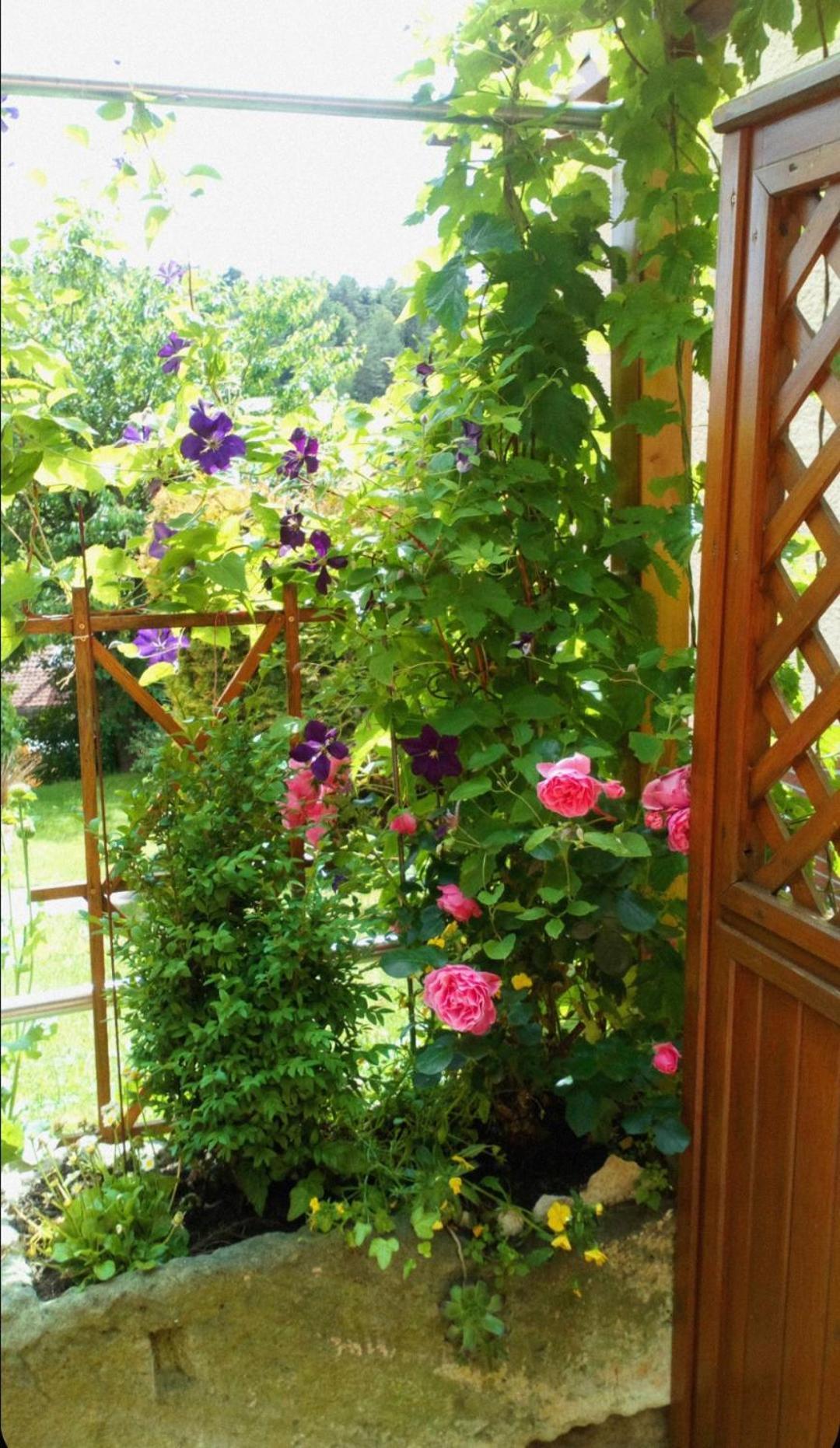 Apartment Mit Gartenblick Eckersdorf Luaran gambar
